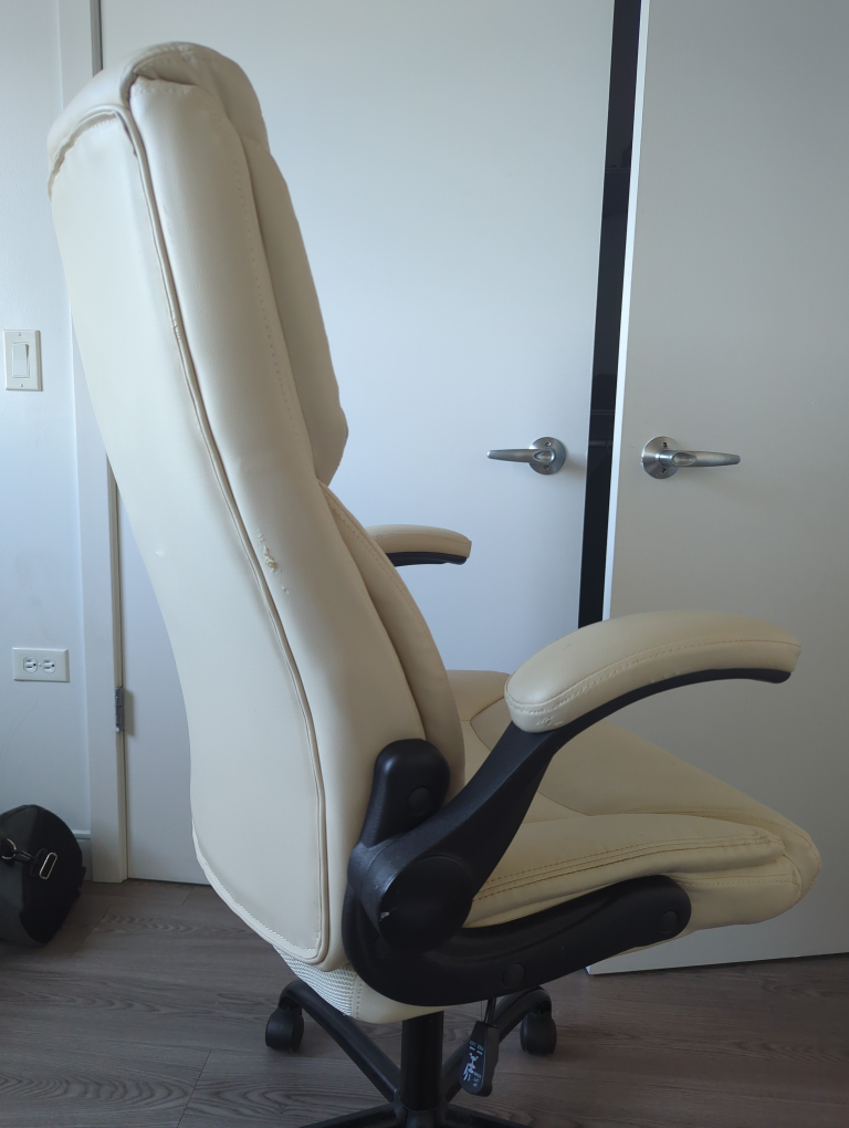 Executive Office Chair with Adjustable Arms - photo 3