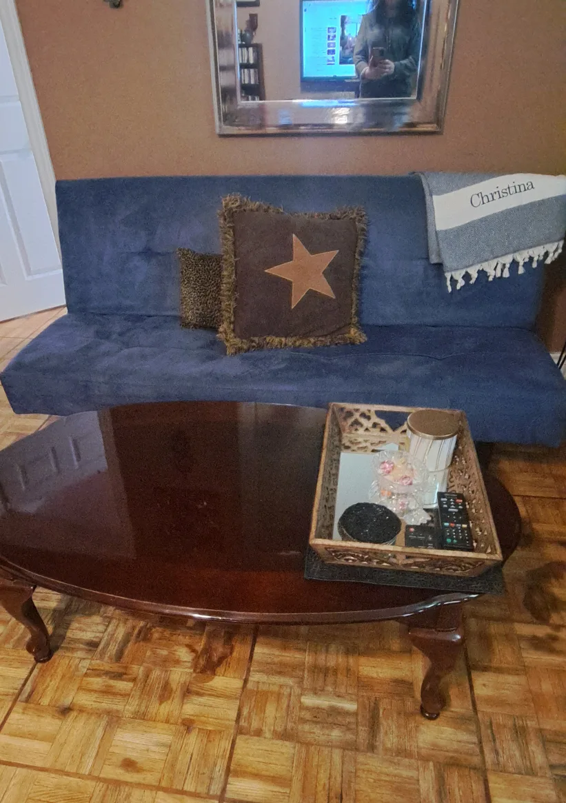 Blue Futon Sofa Bed image indicator(3)