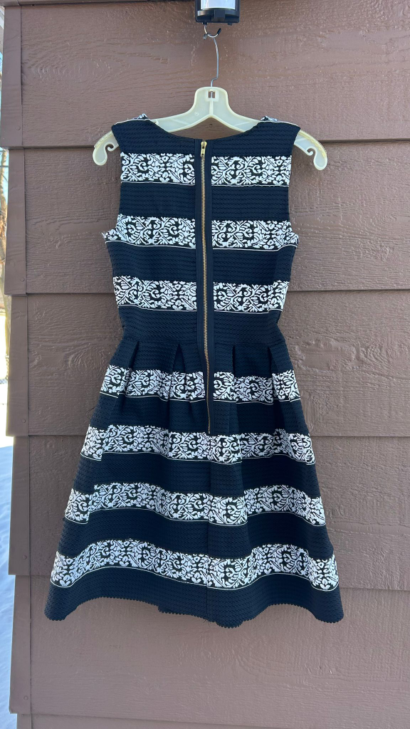 Black and White Striped Fit and Flare Dress - photo 2