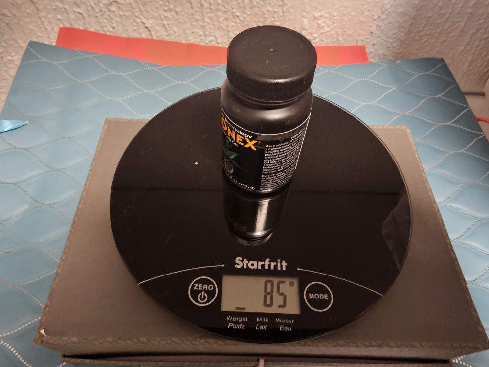 Free! Gratis! Starfrit Ultra-Slim Digital Kitchen Scale - photo 2