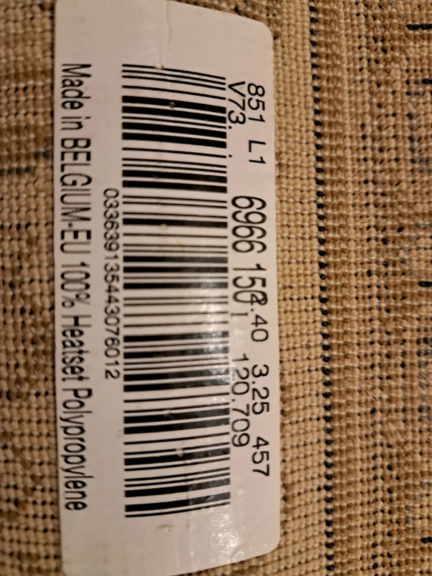 Elegant Large Size Area Rug Made in Belgium image indicator(8)