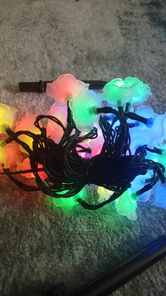 Solar Powered Rose String Lights - photo 2