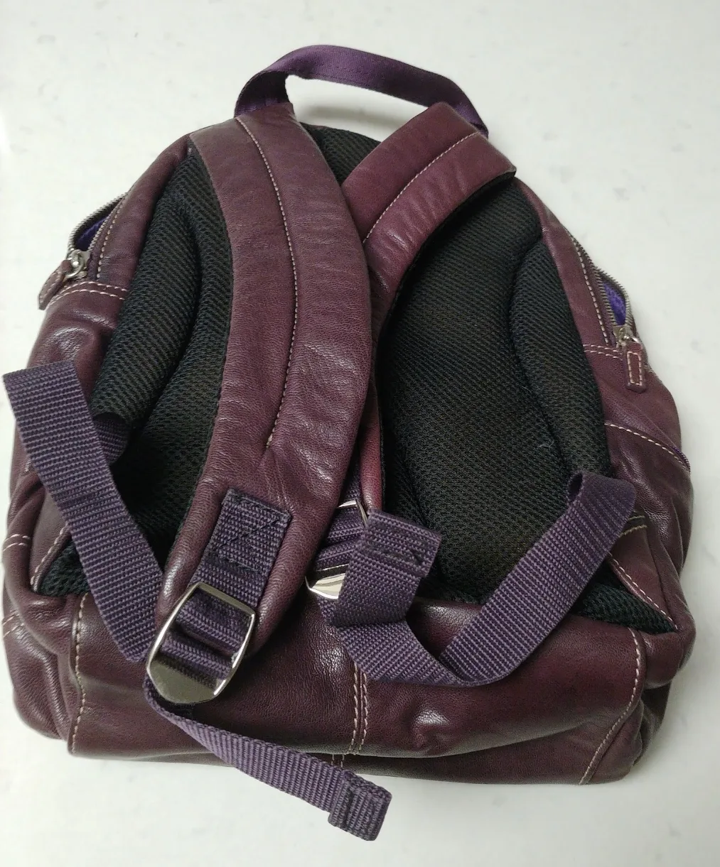 Danier small backpack image indicator(6)