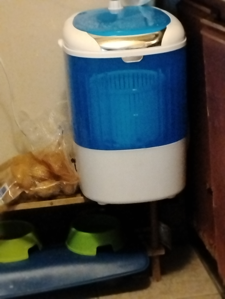 Portable Spin Washer