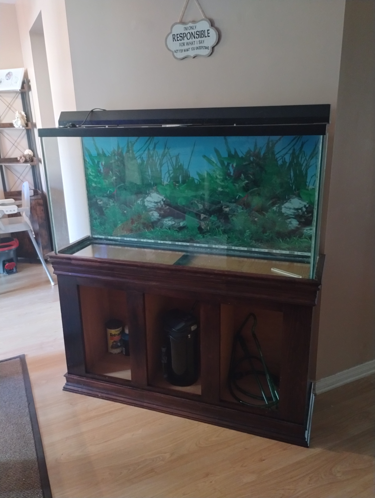 Large Aquarium with Stand