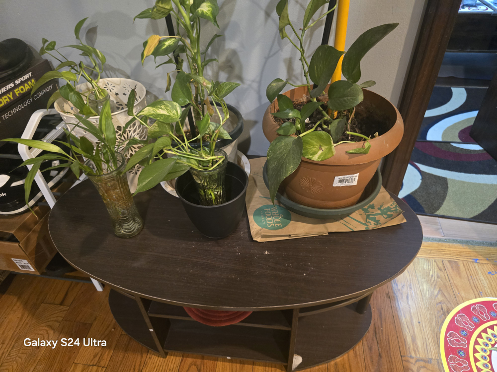 Dark Brown Coffee Table with Shelf