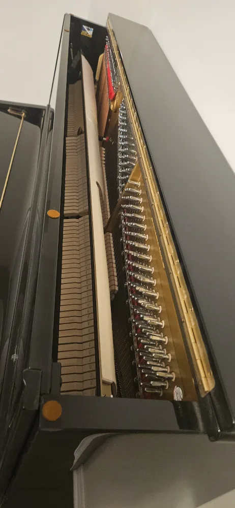 Beautiful Knabe & Co. Piano image indicator(6)