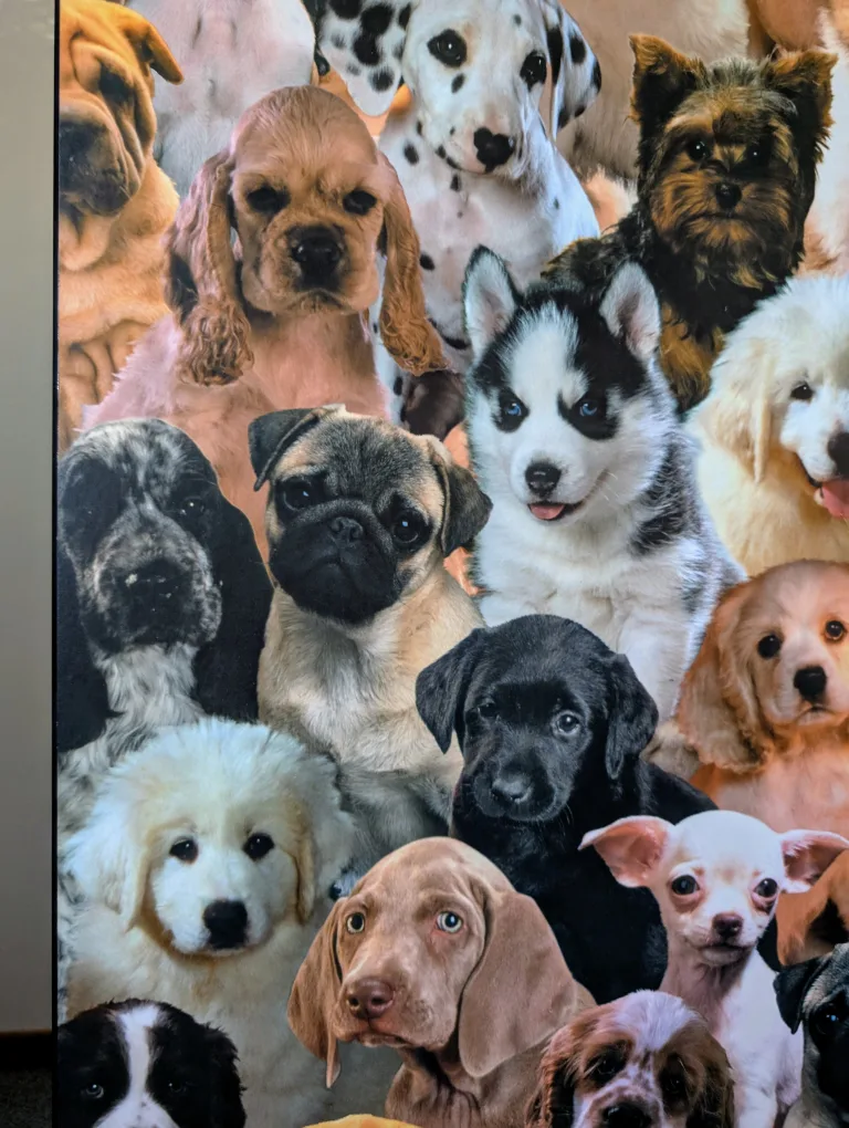 PLAK Mounted Puppy Collage Print, custom 🐶 image indicator(2)