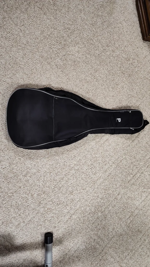 Profile Guitar Gig Bag image indicator(2)
