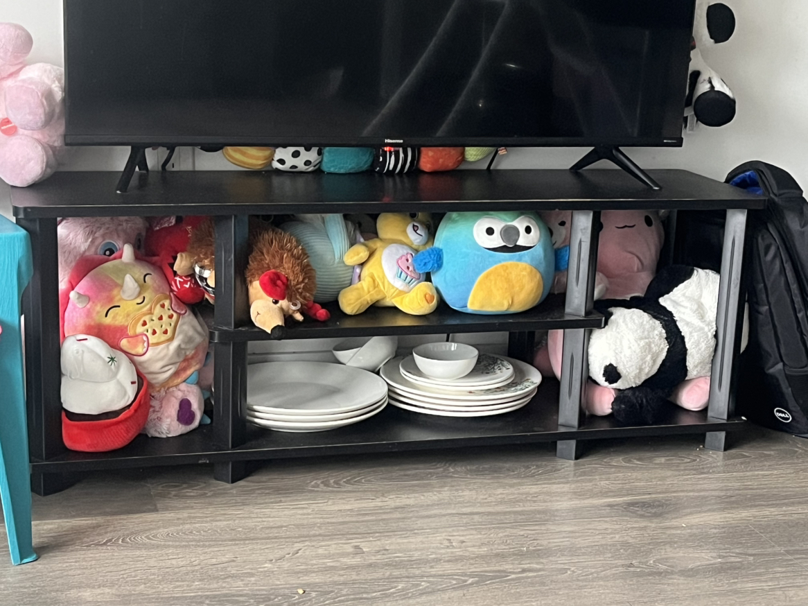 TV stand with storage