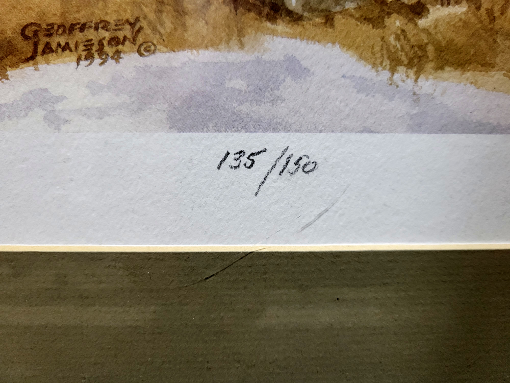 Framed Geoffrey Jamieson Print - 135/150 - photo 4