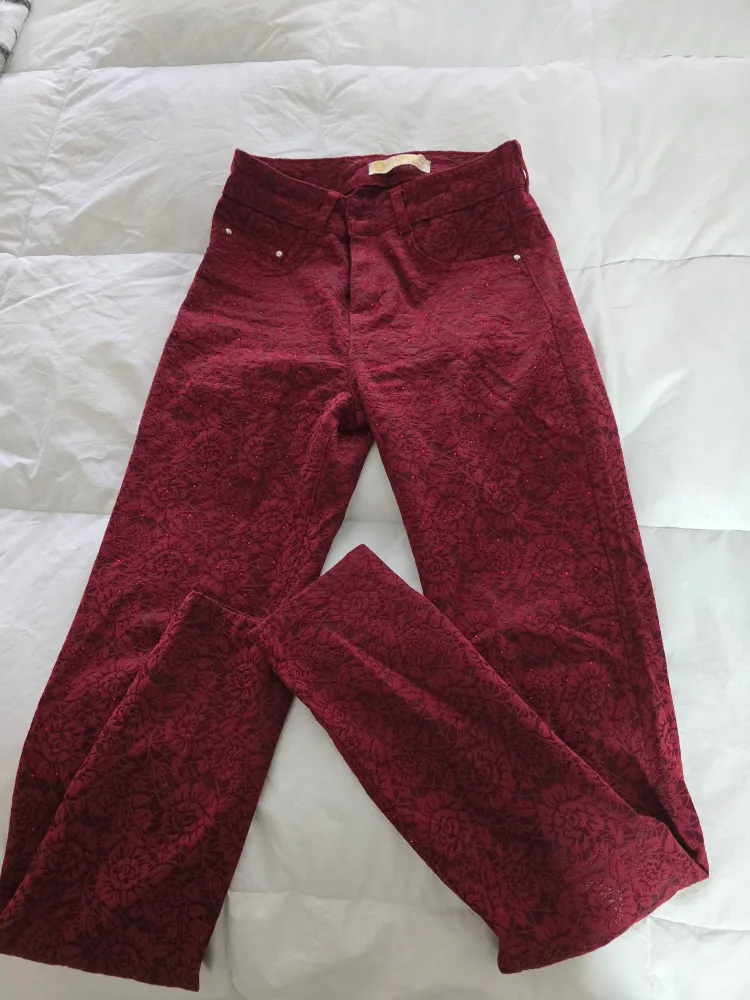 Burgundy Floral Embroidered Jeggings pants image indicator(3)