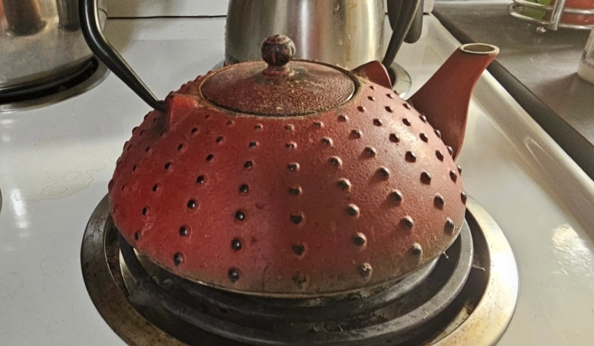 Red Cast Iron Kettel✈️ - photo 2