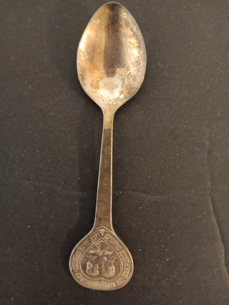 Collector spoons image indicator(9)