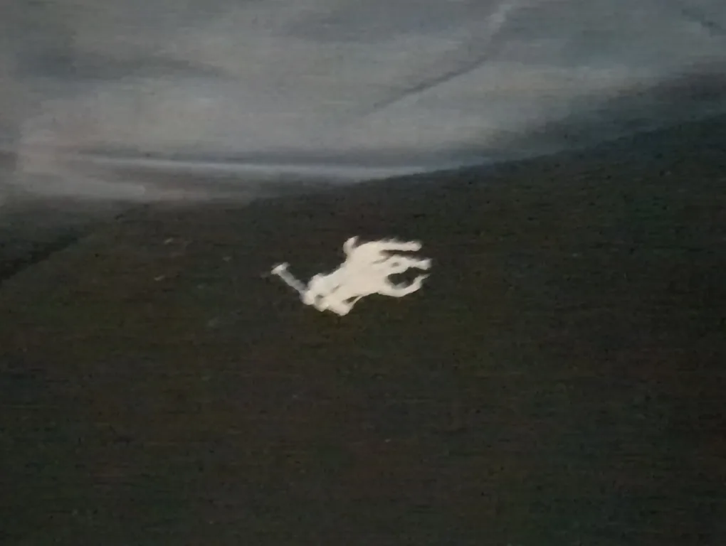 Ralph Lauren polo trackpants image indicator(2)