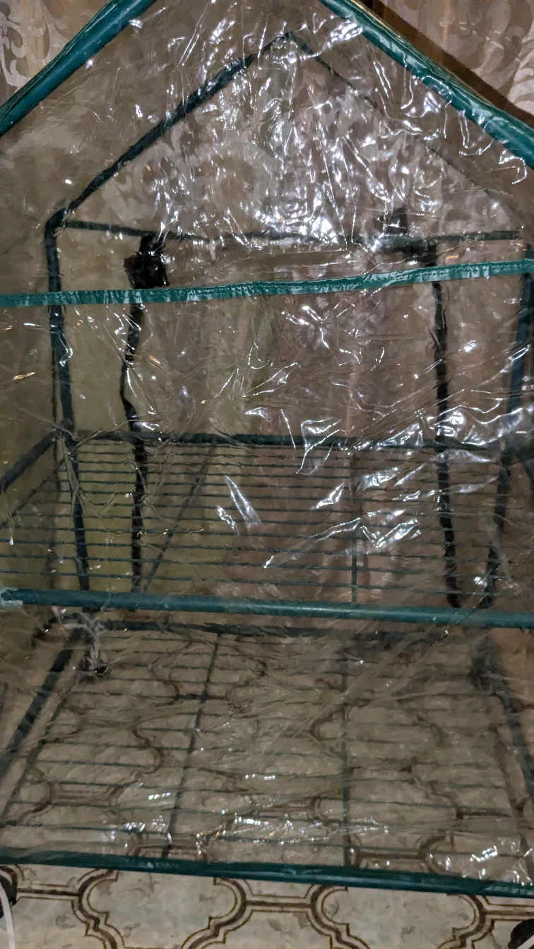 2 Tier  Hot House / Planter Protector / Herb Grower image indicator(4)