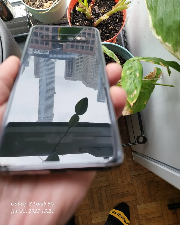 Samsung S10, unlocked , 128 GB , LIKE NEW !! image indicator(5)