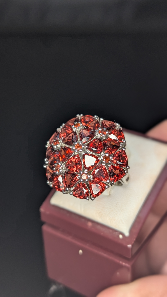 Stunning Garnet Statement Ring