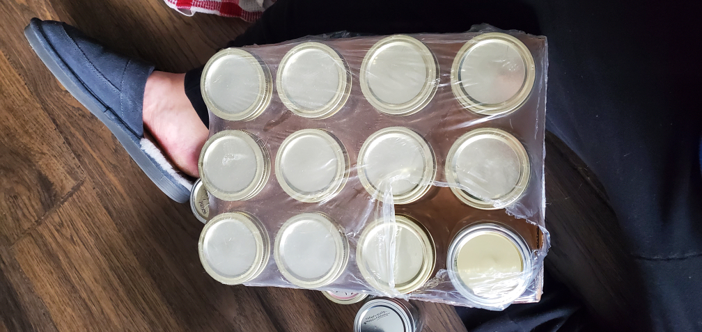 12 Golden Harvest Mason Jars, 500ml, Regular Mouth - photo 2