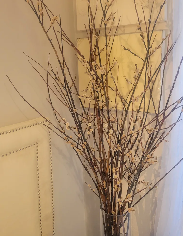 Dried  Willow Branches 7Ft image indicator(2)