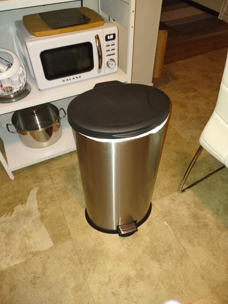 Stainless Steel Step Trash Can with Black Inner Bucket