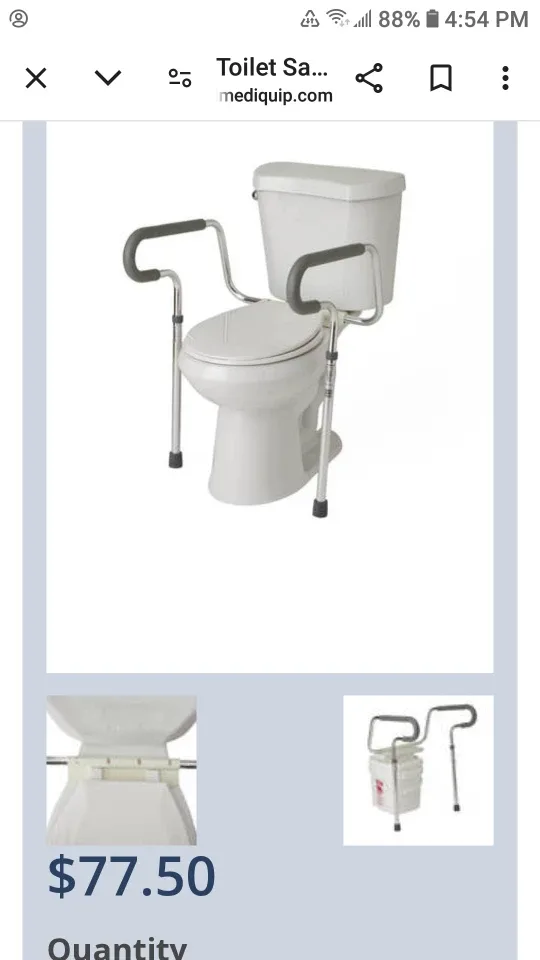 Toilet Safety Rails thumbnail