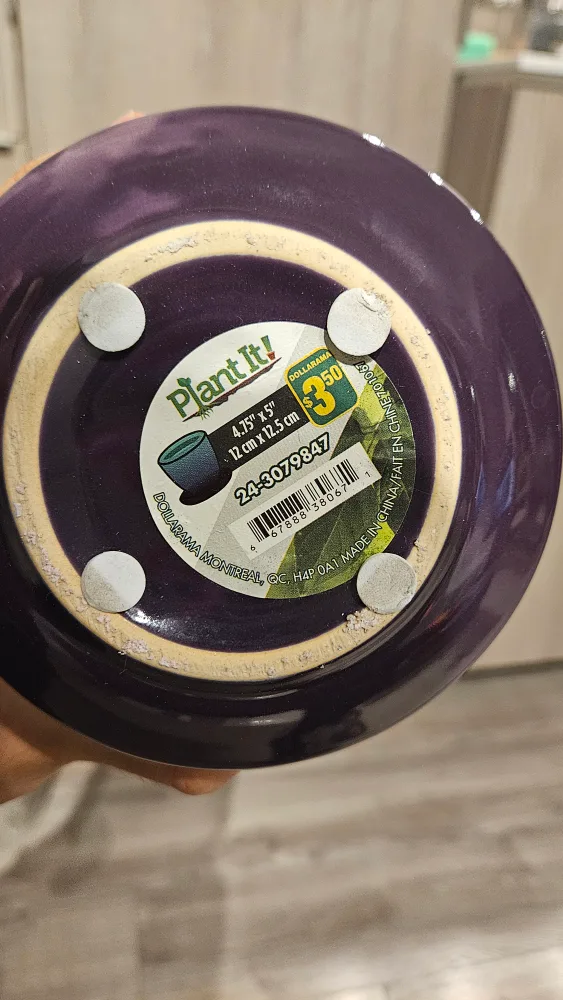 Red ceramic planter with saucer image indicator(3)