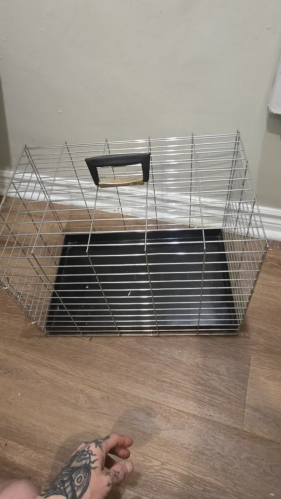 Cage image indicator(2)