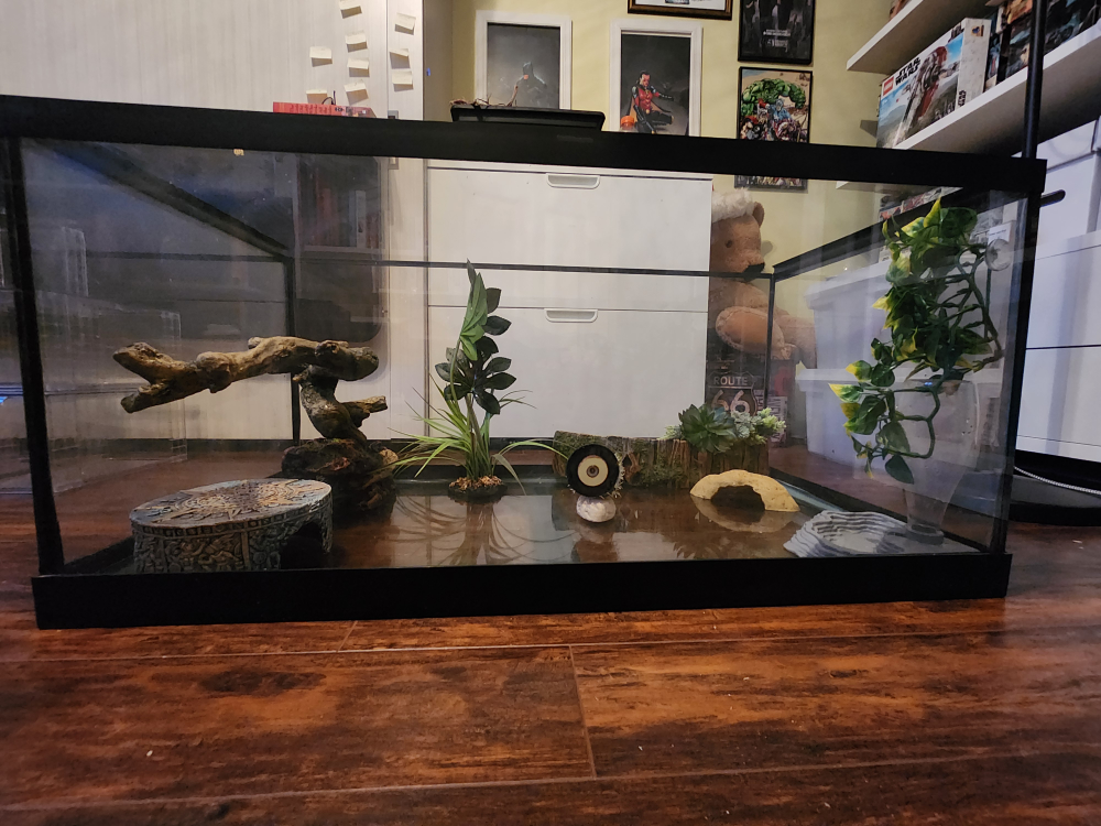Reptile terrarium with accessories - photo 4