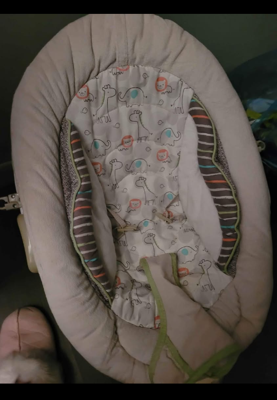 baby bounce chair