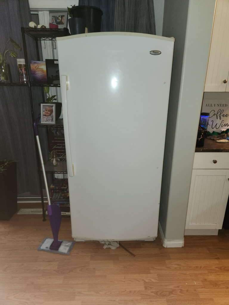 Whirlpool Commercial Freezer - photo 2
