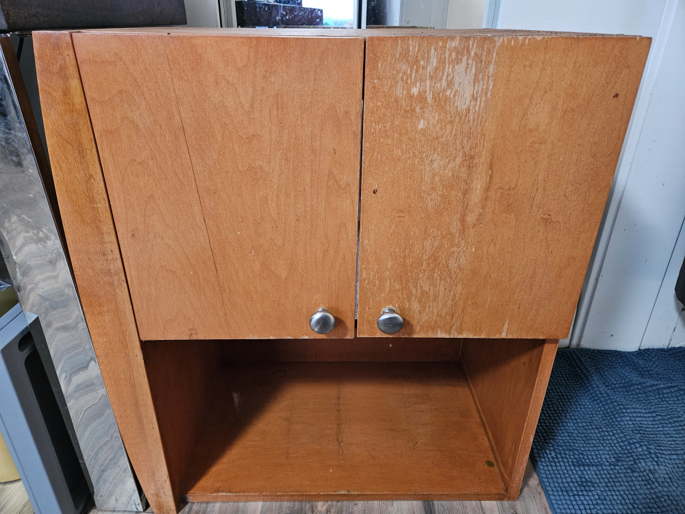Wooden Cabinet with Two Doors