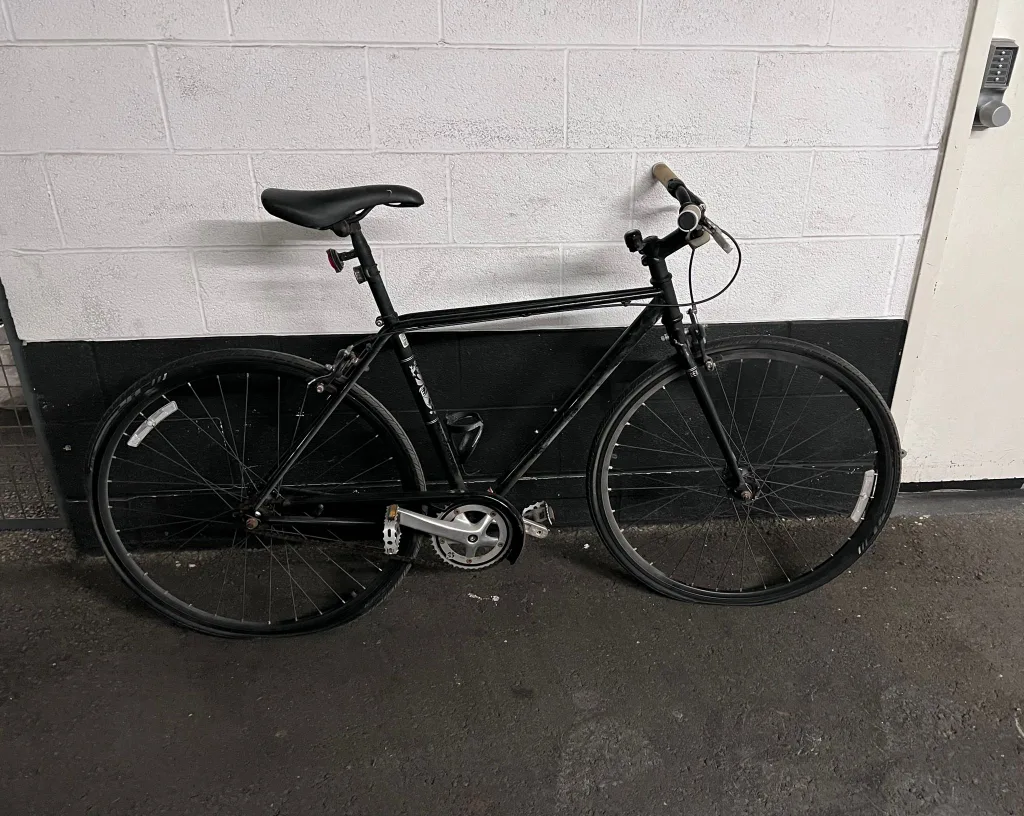 Trek Earl Bike - 49 image indicator(3)