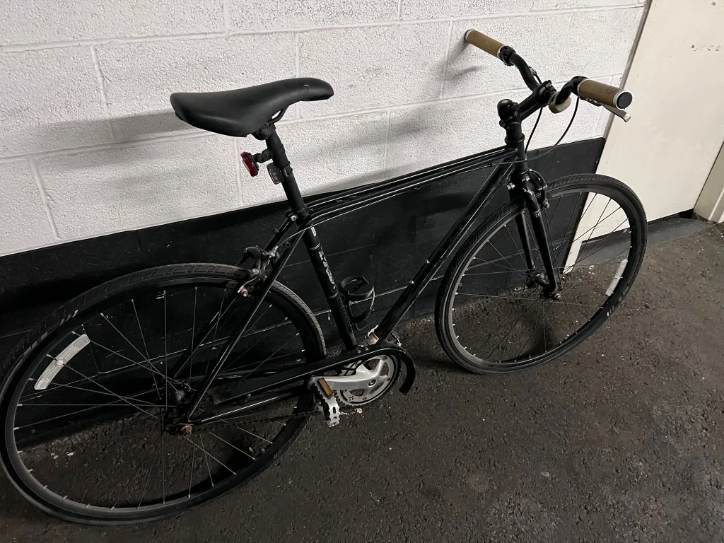 Trek Earl Bike - 49 image indicator(5)