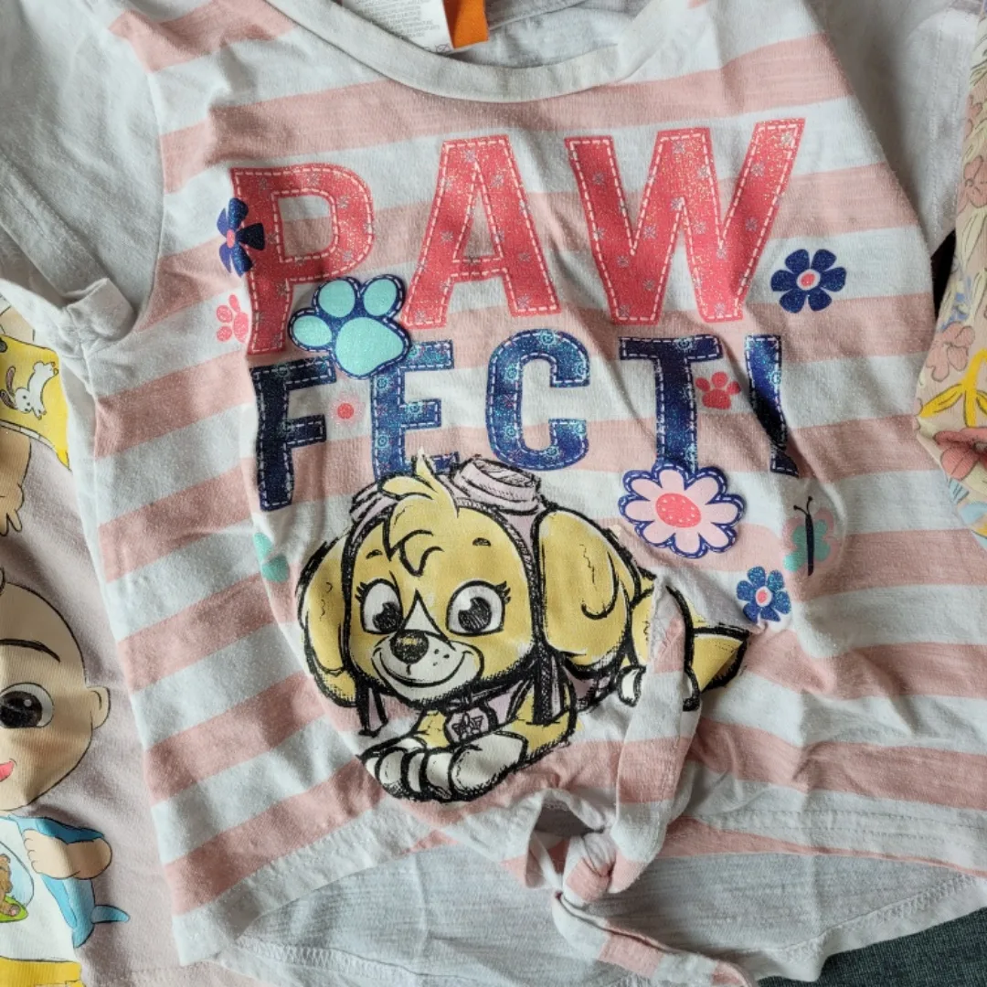 3-4 year old girl clothing bundle (8) image indicator(3)