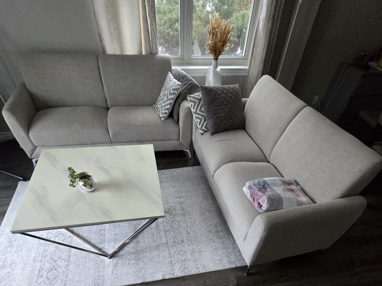 Elegant 2 Piece Sofa Set-$150