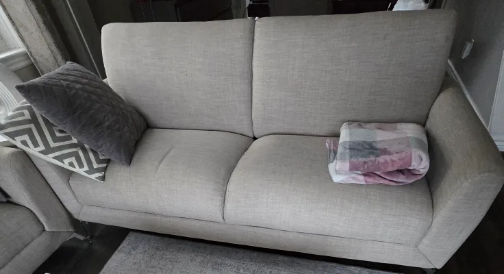 Elegant 2 Piece Sofa Set-$150 image indicator(3)