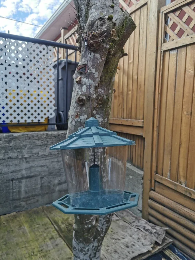 Outdoor Hanging Bird Feeder thumbnail