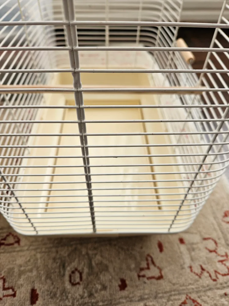 Bird Cage with Accessories image indicator(3)