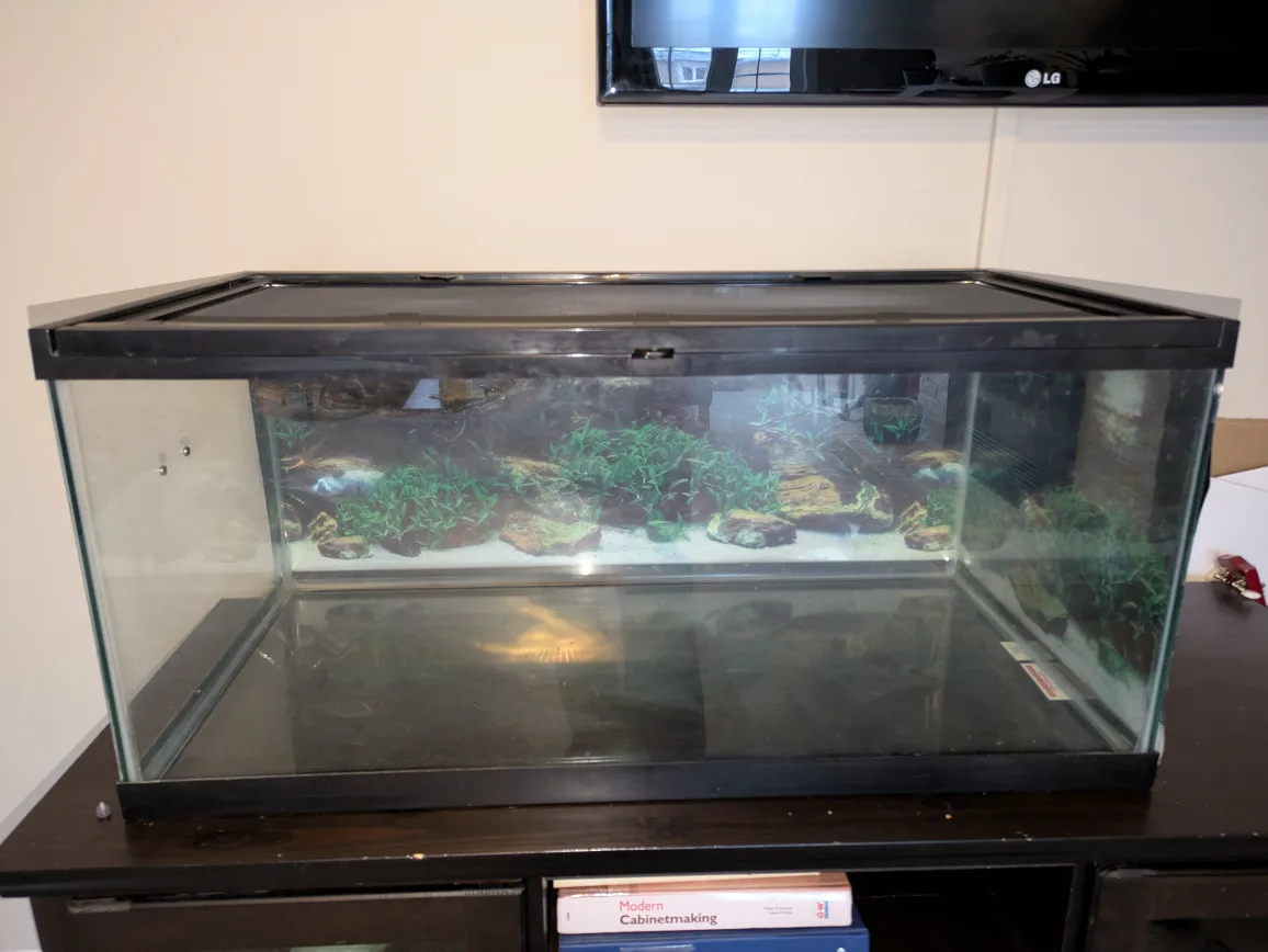 40 Gallon tank with accessories for a lizard or aquarium image indicator(7)
