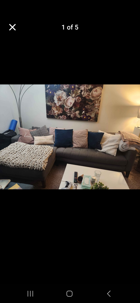 grey sectional couch smoke free 250 - photo 3