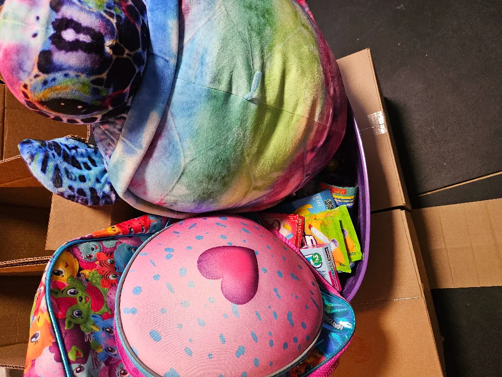 Turtle Plush Toy, backpack, toys, etc image indicator(10)