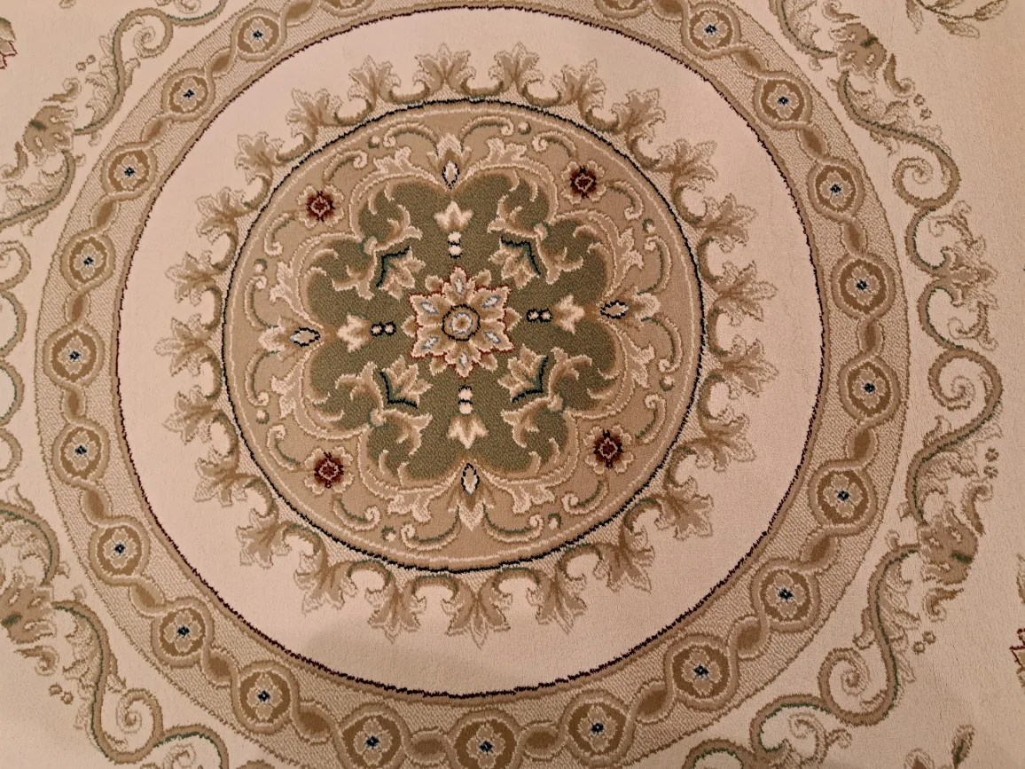 Elegant Large Size Area Rug Made in Belgium image indicator(6)