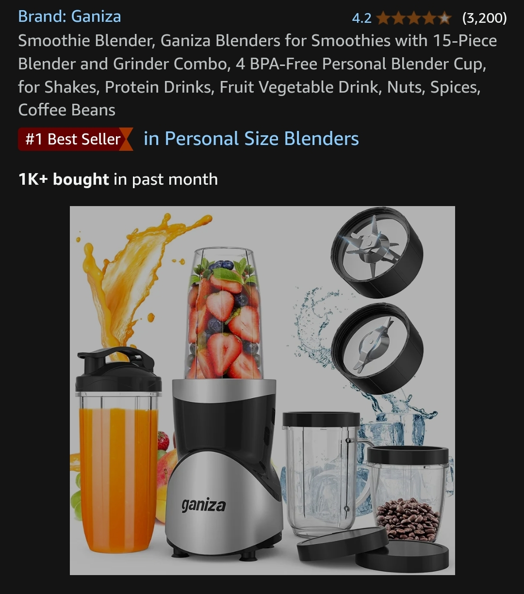 Ganiza Smoothie Blender 15-Piece Combo