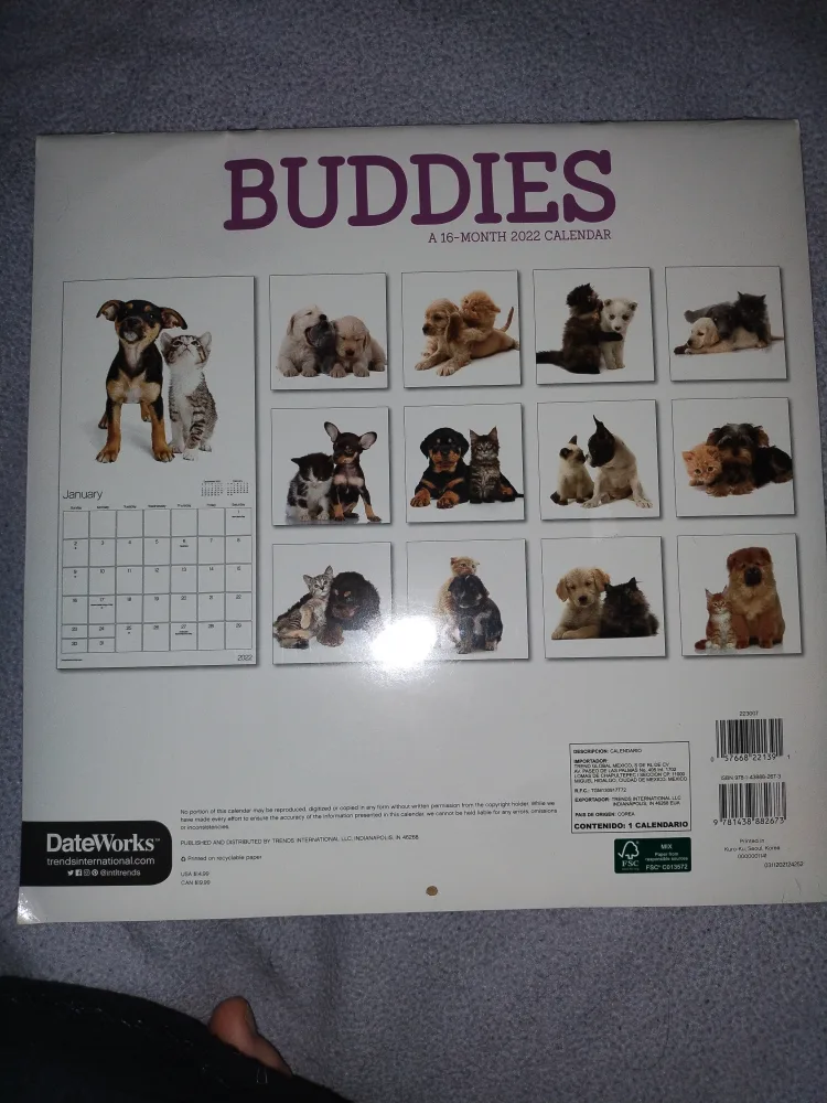 2022 Buddies 18-Month Calendar - Puppies and Kittens image indicator(2)