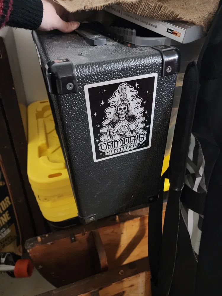 Traynor Amp Guitar Amplifier and gibsons electric guitar image indicator(3)