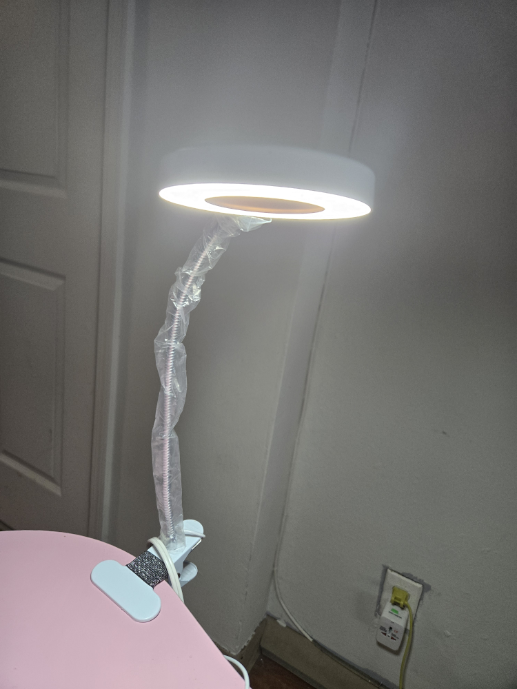 Pink Nail Tech Table with Lamp