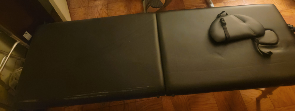 Portable Massage Table #freecycle - photo 4