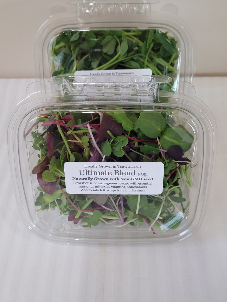 Locally Grown Pea Shoots & Microgreens