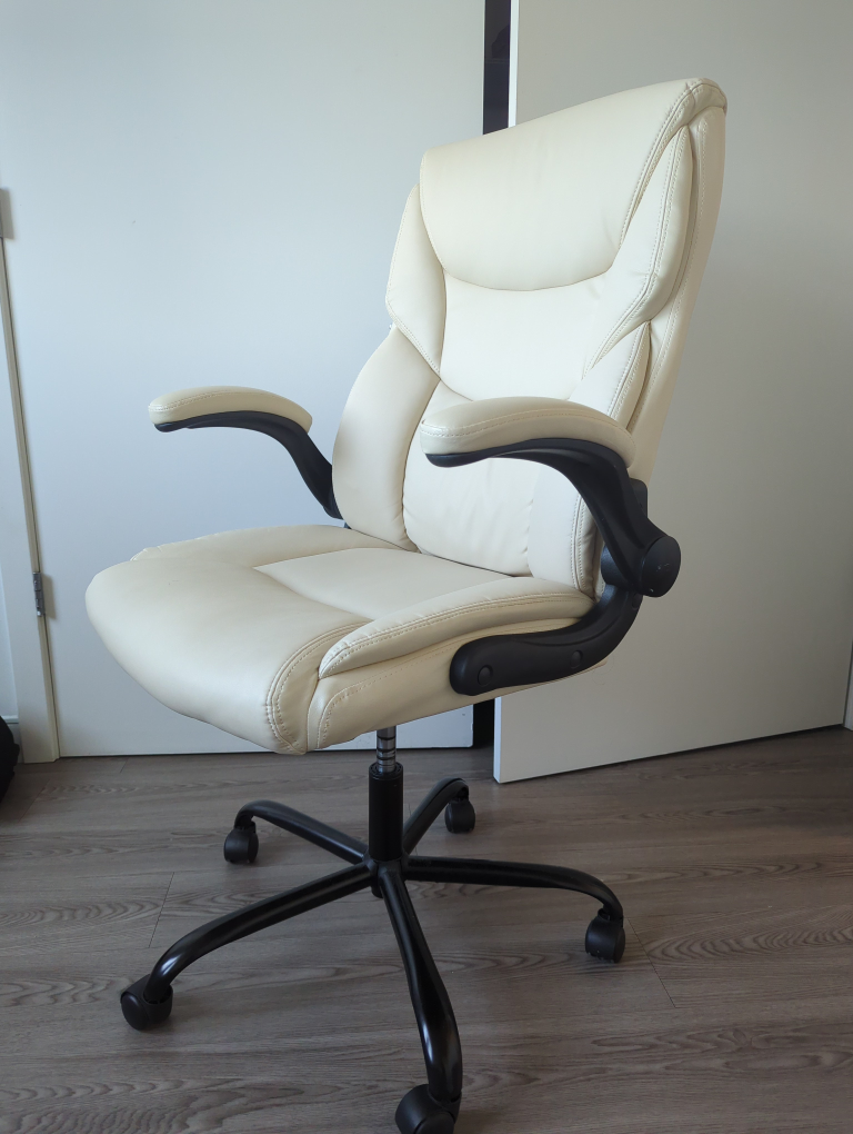 Executive Office Chair with Adjustable Arms